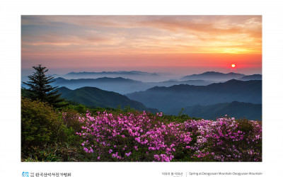 덕유의 봄