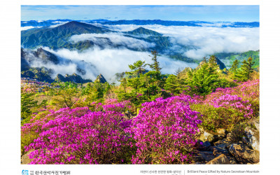 자연이 선사한 찬란한 평화