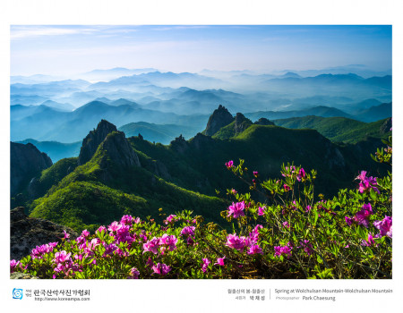 월출산의 봄