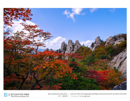 설악산 용아장상의 단풍