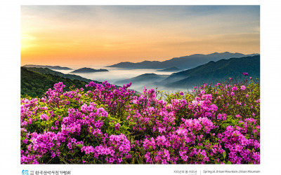 지리산의 봄