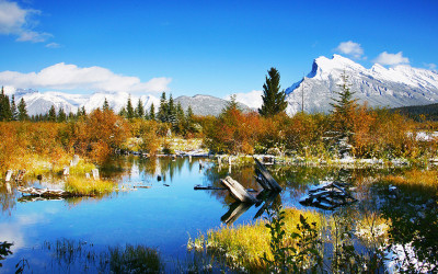 벤프여행중에~~