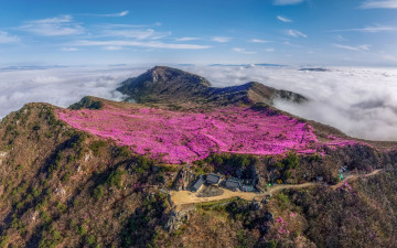 비슬산 - 비슬산