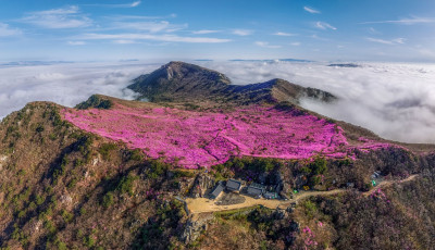 비슬산 - 비슬산