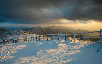 당황하게 만든 순간!