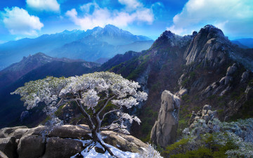 도봉산 신선대 춘설 2013년 4월 7일