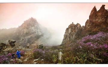 안개속의 기다림