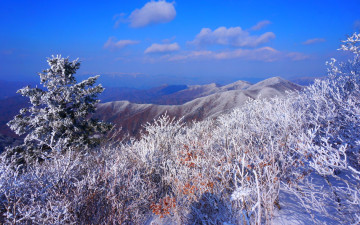 계방산 눈꽃산행