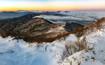 회원님들 새해에도 더욱더 건강하시길 기원드립니다.