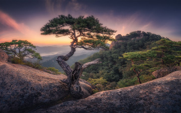 속리산 상학봉 일출 입니다.