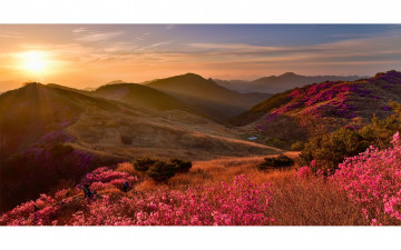 화왕산의봄 - 화왕산