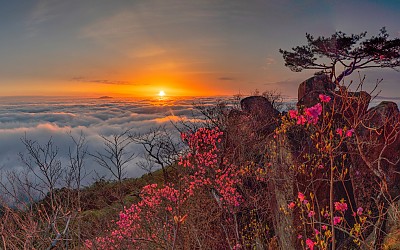 대둔산