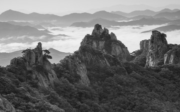 월출산 혼자서 첫 출사 가는 날