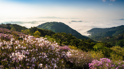 황매산 !