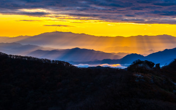 운장산에 이구아나가 살고 있나봐요