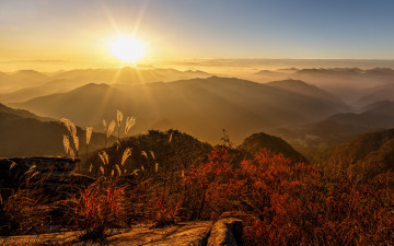 가을이 가는 아쉬움