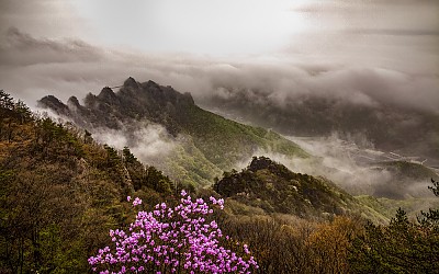 구봉산