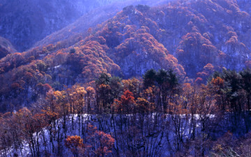 겨울로 드는 길목
