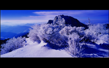 지리산의 미,冬