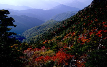 칠선계곡의 가을