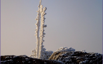 요것 보신분 많으시지요