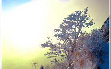 지리산 천왕봉 바다..