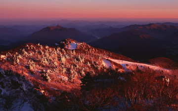 덕유산 초콜릿색 물감