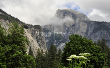 Half Dome