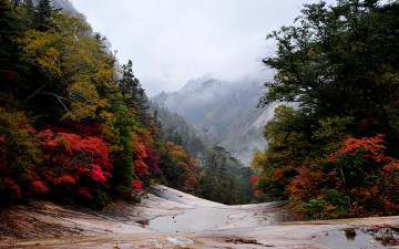 설악산 어느계곡