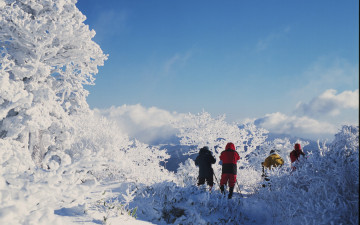 설원속의 진사님 들............