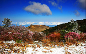 춘 사월에 잔설 내린 노고단