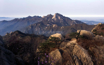 내가 짝사랑하는 곳