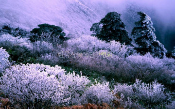 덕유산 바람의 그림솜씨