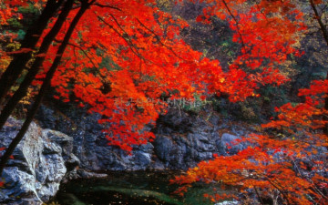 여기가  어딘지 기억이 ..