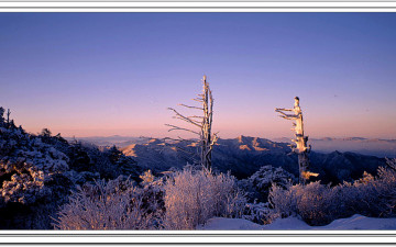 덕유산 중봉주목 일출