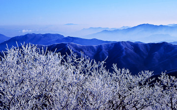 상고대와 가야산