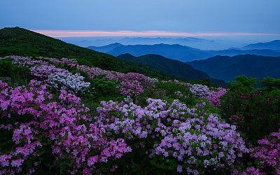 덕유의 아침