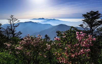 반야봉다녀왔습니다.