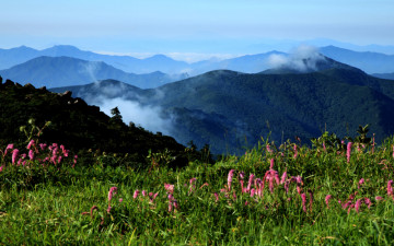 내 년을 기다리며.