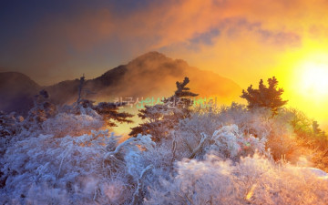 제석에 붙은 불은