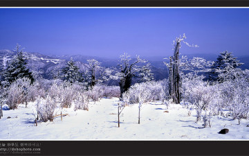 사단법인 한국산악사진가협회 인준을 축하드립니다.