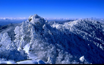 눈이  부시게 푸르른 날