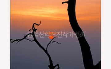 함백산 일몰(빨간 풍선)