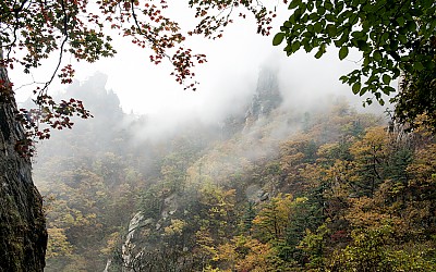 주전골 추경