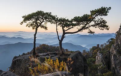 대둔산 부부송