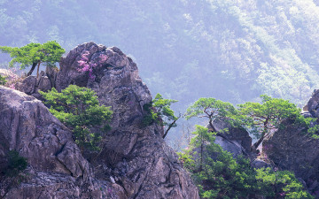 한라산 윗세오름에서
