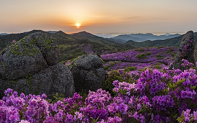 초암산