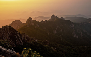 홀로 월출을 지키며?