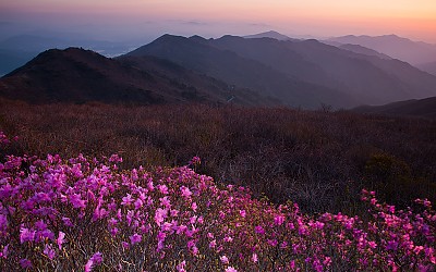 만복대