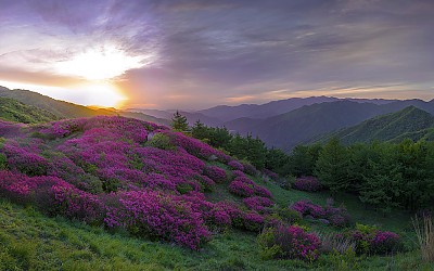 지리산